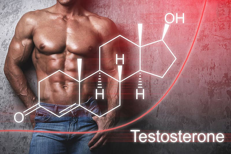 testosterone giúp tạo nên những đặc điểm riêng biệt của nam giới
