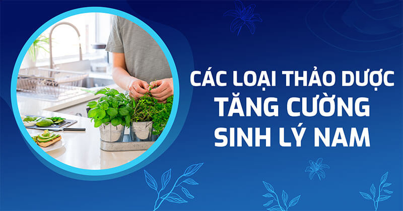 Thảo dược tăng cường sinh lý