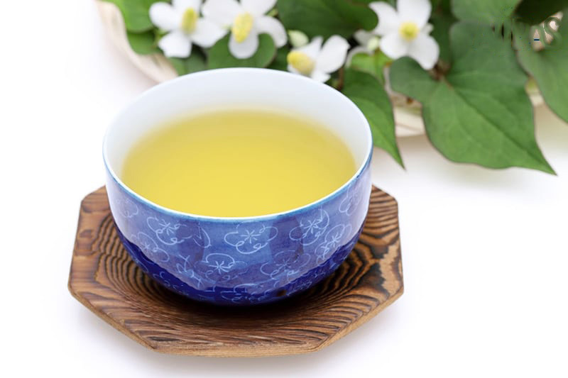 thử dùng trà rau diếp cá chữa rối loạn cương dương thử dùng trà rau diếp cá chữa rối loạn cương dương