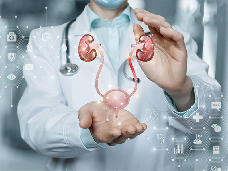 Bệnh lý về đường tiết niệu ảnh hưởng nhiều đến đời sống tình dục