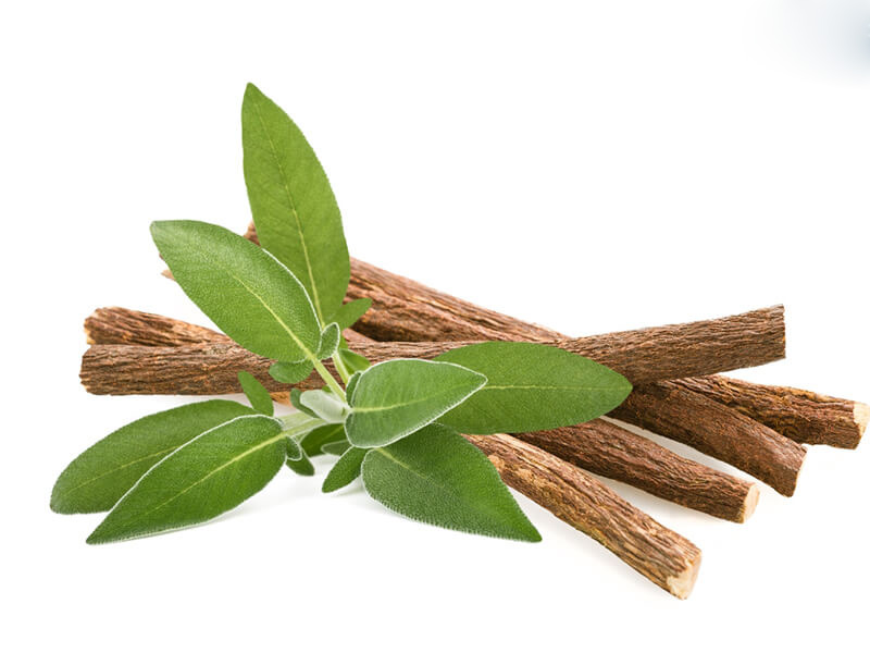 cam thảo - vị thuốc đông y chữa rối loạn cương dương quen thuộc