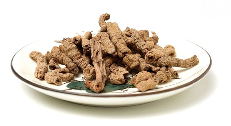 vỏ cây ba kích sau khi được phơi khô