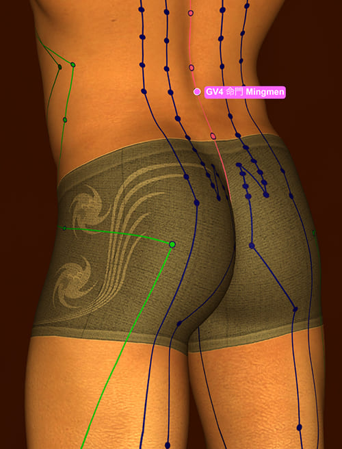 bấm huyệt mệnh môn chữa yếu sinh lý bấm huyệt mệnh môn chữa yếu sinh lý