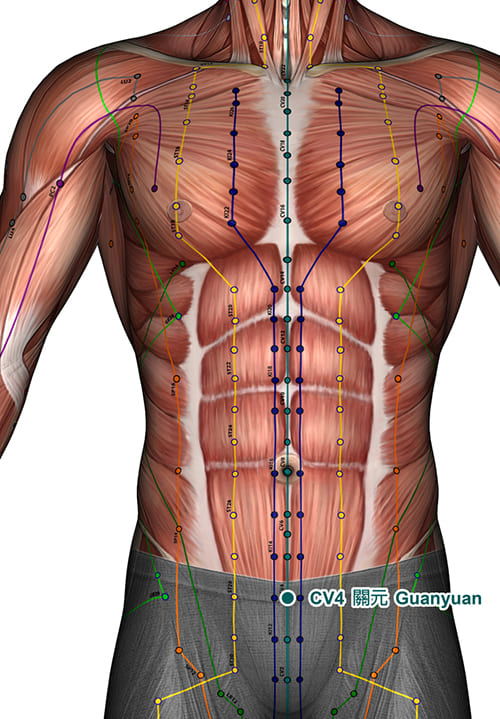 bấm huyệt quan nguyên chữa yếu sinh lý bấm huyệt quan nguyên chữa yếu sinh lý