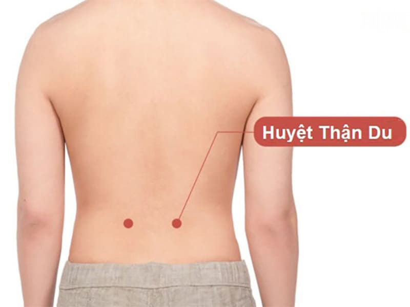 vị trí của huyệt thận du vị trí của huyệt thận du