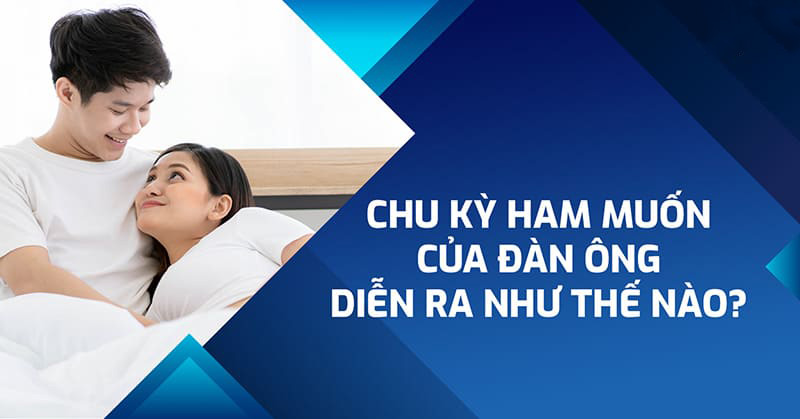 Chu kỳ ham muốn của đàn ông: Khi nào nam giới muốn quan hệ nhất?