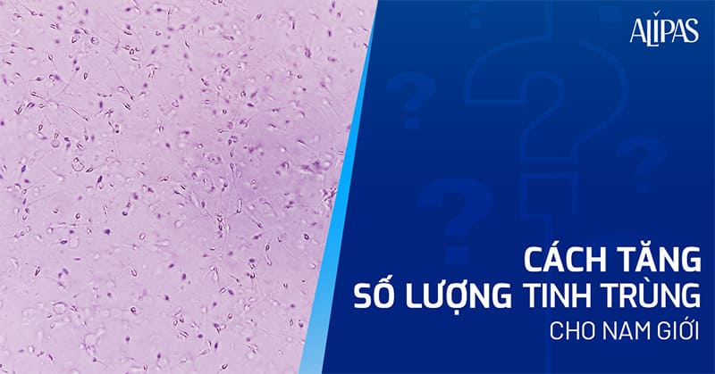 Cách tăng số lượng tinh trùng