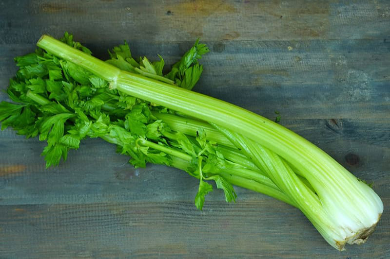 cần tây - rau tốt cho sinh lý nam