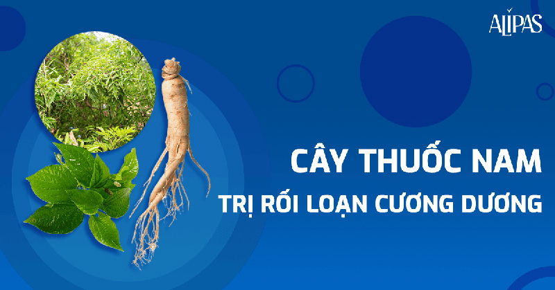 12 loại cây thuốc nam trị rối loạn cương dương an toàn mà hiệu quả