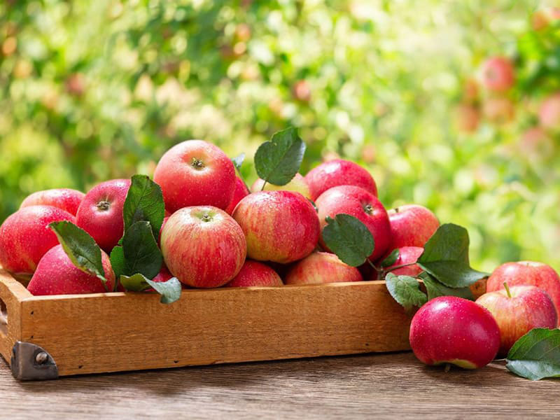 axit ursolic trong vỏ táo giúp giảm nguy cơ mắc bệnh ung thư tuyến tiền liệt