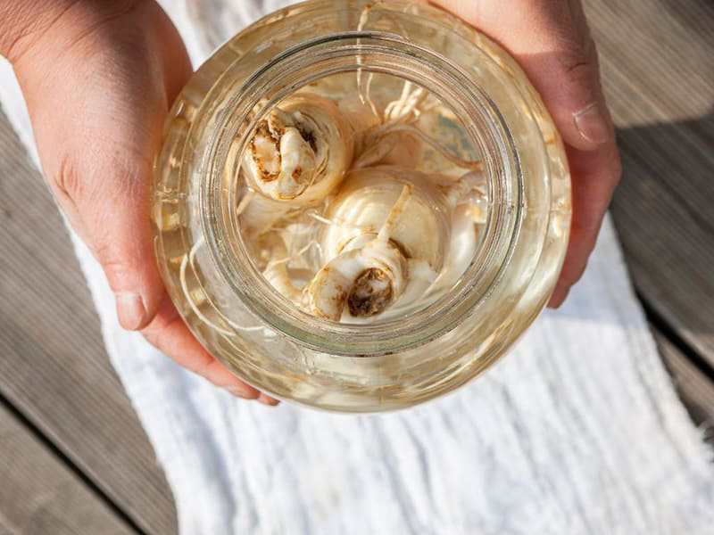 rượu sâm khá phổ biến và thường được nam giới lựa chọn nhiều vì dễ thực hiện và sử dụng rượu sâm khá phổ biến và thường được nam giới lựa chọn nhiều vì dễ thực hiện và sử dụng