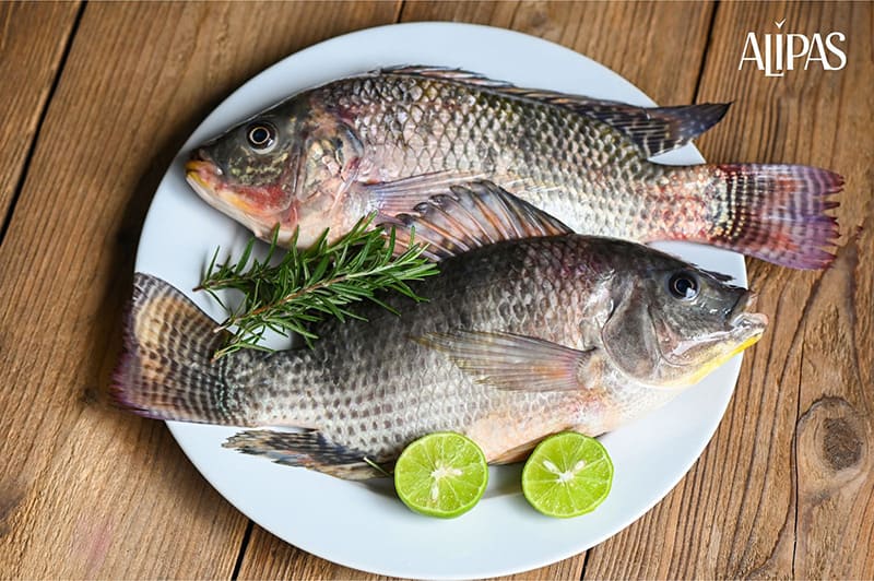 cá rô phi cải thiện sức khỏe sinh lý nam