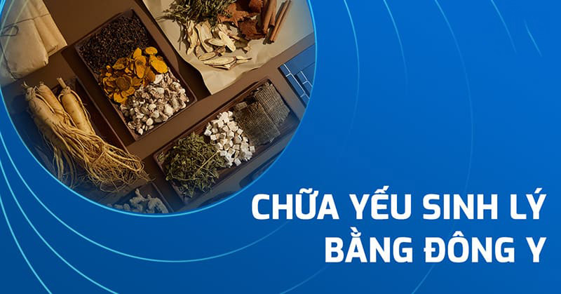 chữa yếu sinh lý bằng đông y chữa yếu sinh lý bằng đông y