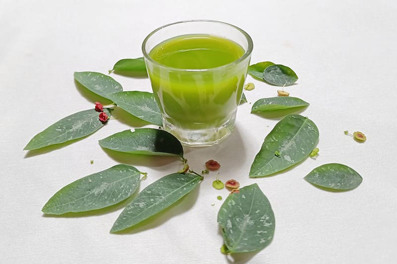 nước ép rau ngót cung cấp các dưỡng chất có lợi đối với nam giới