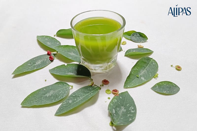 nước ép rau ngót chứa nhiều dưỡng chất có lợi cho nam giới