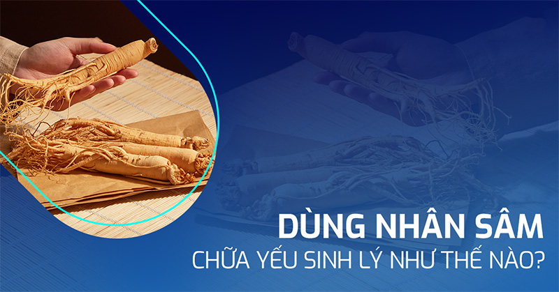 nhân sâm chữa yếu sinh lý