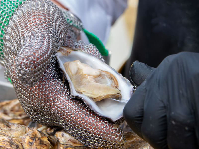 khi ăn hàu sống bạn nên chọn hàu tươi và sơ chế thật kỹ