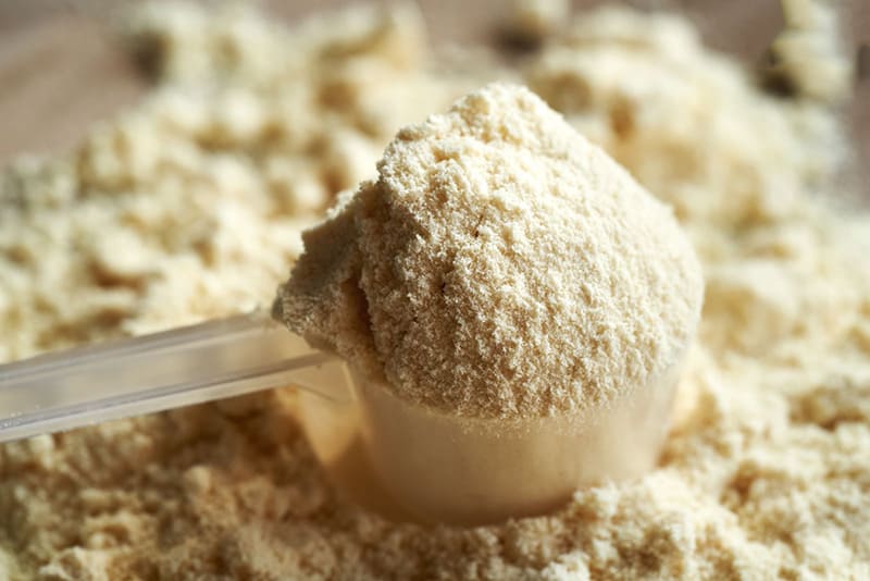 whey protein cô đặc ở dạng bột