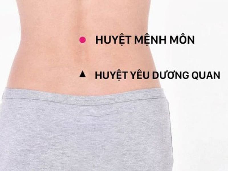 vị trí huyệt mệnh môn