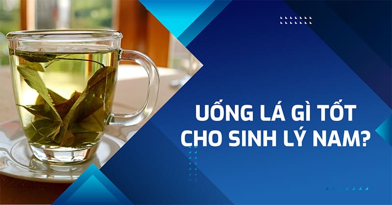uống lá gì tốt cho sinh lý nam