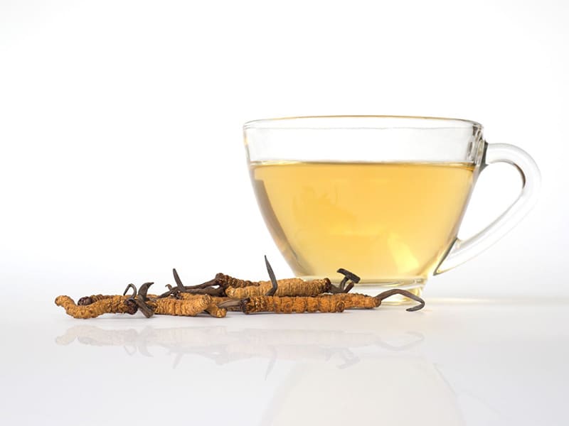 trà đông trùng hạ thảo trà đông trùng hạ thảo