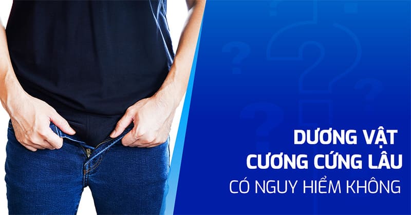 dương vật cương cứng lâu dương vật cương cứng lâu