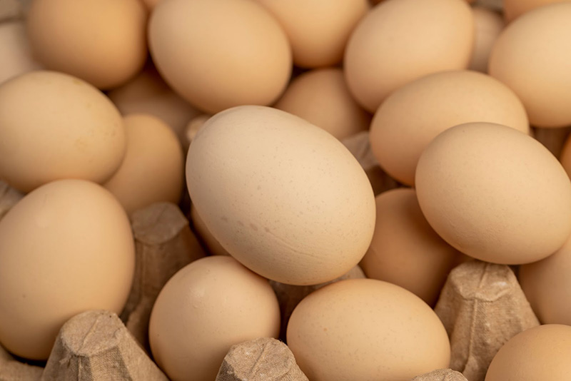 trứng bổ sung protein và vitamin trứng bổ sung protein và vitamin