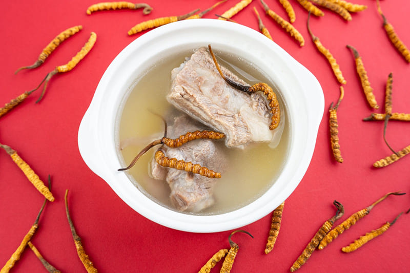 ăn uống đông trùng hạ thảo tăng sức khỏe hô hấp