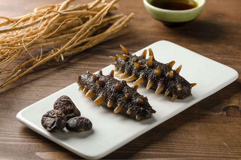 hải sâm hải sâm