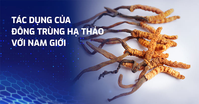 8 tác dụng của đông trùng hạ thảo với nam giới: Có thật sự tốt không?