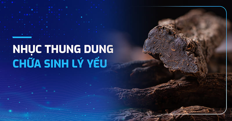 5 cách sử dụng nhục thung dung chữa sinh lý yếu tại nhà