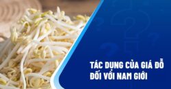 8 tác dụng của giá đỗ với nam giới giúp tăng cường sinh lý