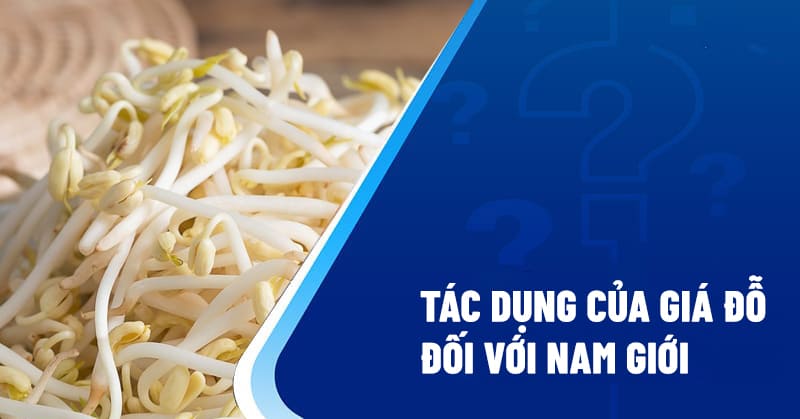 8 tác dụng của giá đỗ với nam giới giúp tăng cường sinh lý