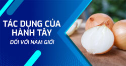 16 tác dụng của hành tây với nam giới thêm sung mãn