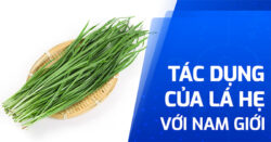 7 tác dụng của lá hẹ với nam giới không thể chối cãi