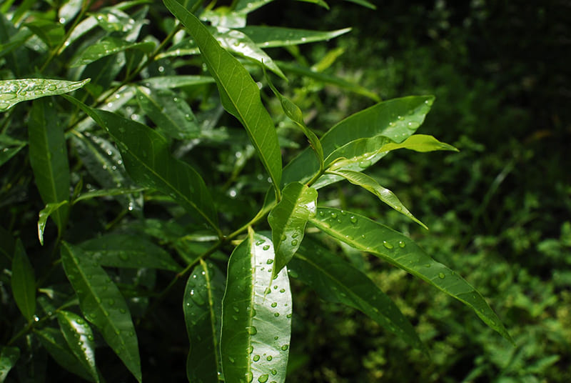 uống đúng cách hỗ trợ sức khỏe sinh lý