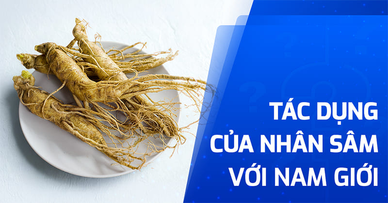 tác dụng của nhân sâm với nam giới