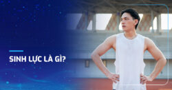 Sinh lực là gì? Đàn ông nên biết những gì?