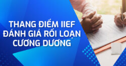 Thang điểm IIEF – Công cụ giúp đánh giá rối loạn cương dương