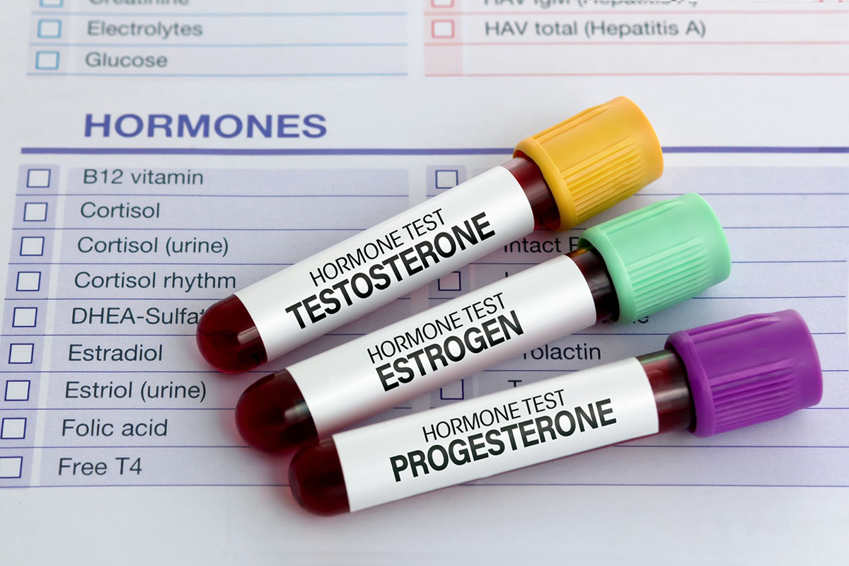 hormone giới tính thuộc nhóm hormone steroid