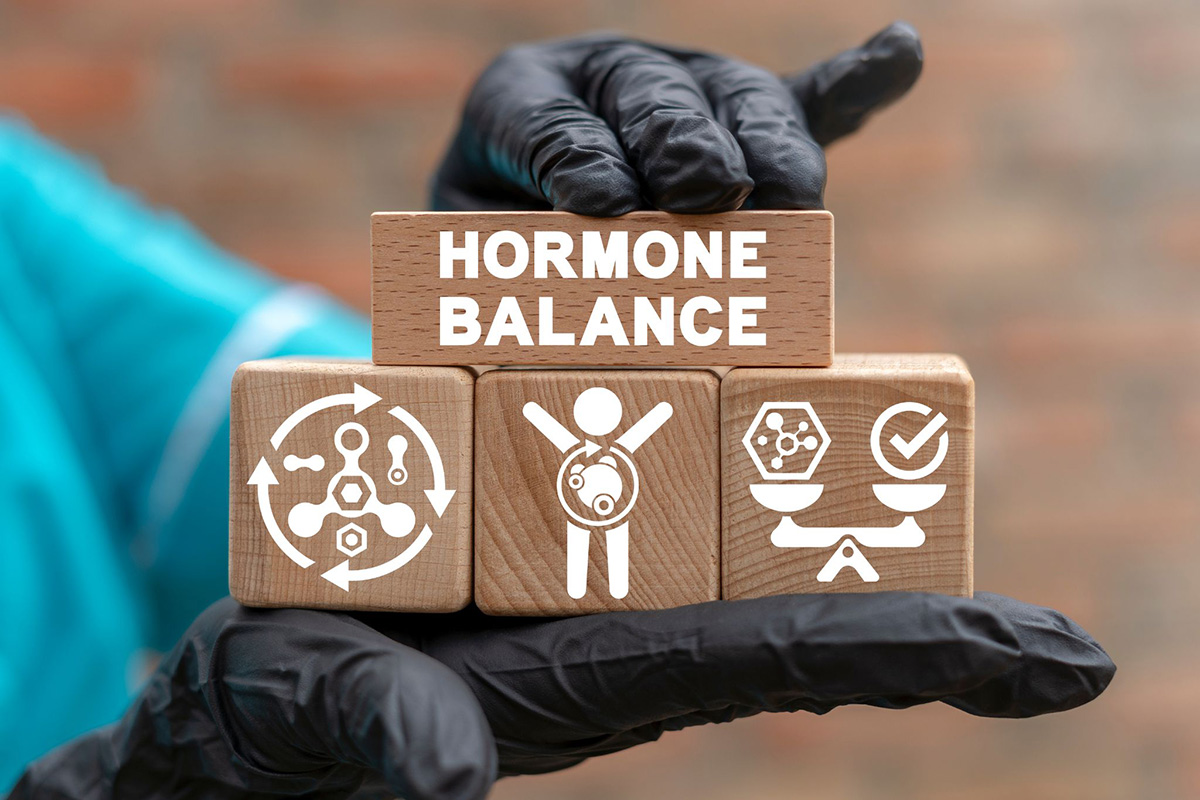 hormone giúp cơ quan trong cơ thể hoạt động ổn định