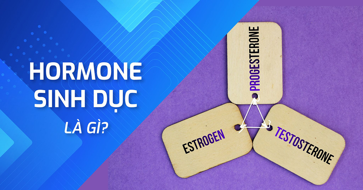 Hormone sinh dục là gì? Vai trò quan trọng thế nào?