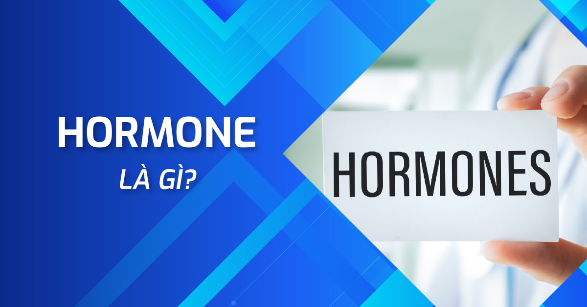 Hormone là gì? Vai trò và cơ chế hoạt động trong cơ thể