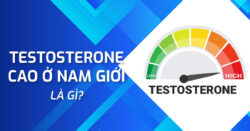 Chỉ số testosterone cao ở nam giới gây ra điều gì?