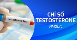Chỉ số testosterone nmol/L khi xét nghiệm phản ánh điều gì?
