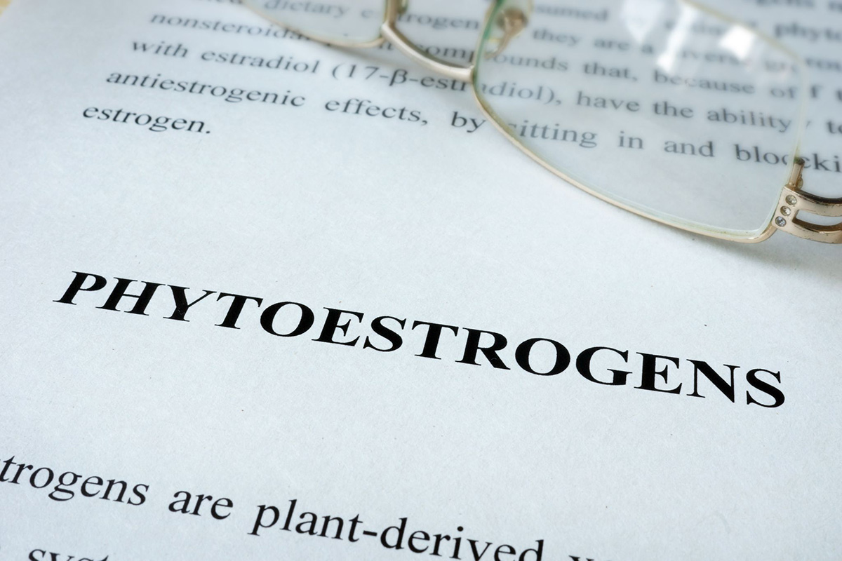 phytoestrogen trong sữa đậu nành