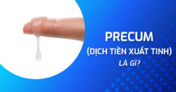 Precum: Những điều chưa biết về chất dịch tiền xuất tinh